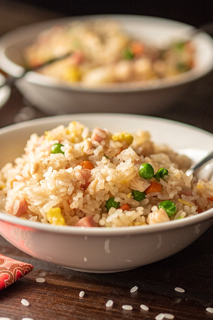 Fried Rice 683x1024 1 